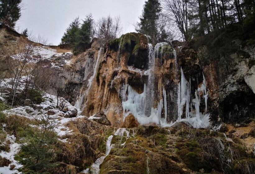 فندق Pensiunea Piatra Mandrutului