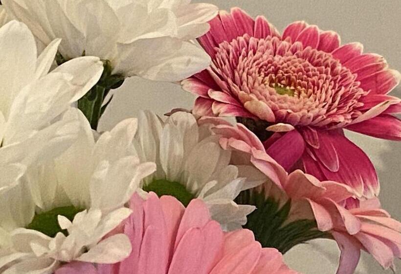 ペンション L Itinérante