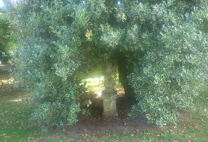 بنسيون Le Jardin Des écureuils