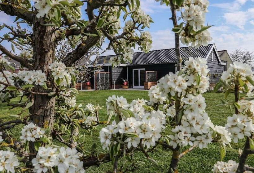 B&b Buutegeweun