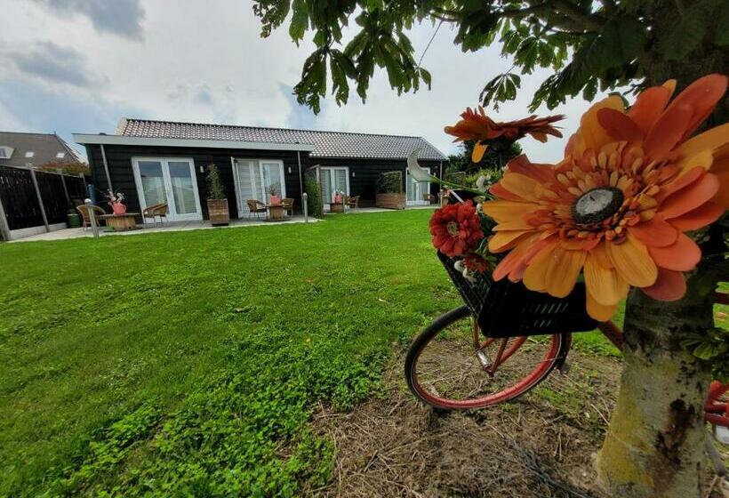 B&b Buutegeweun