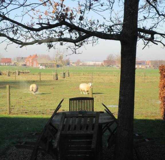 B&b De Pethaan