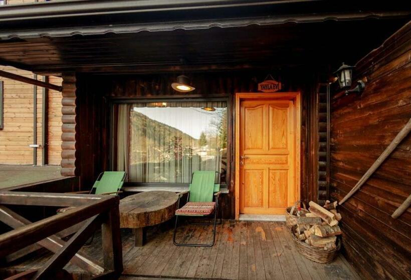 مبيت وإفطار Abant Yayla Dağevi