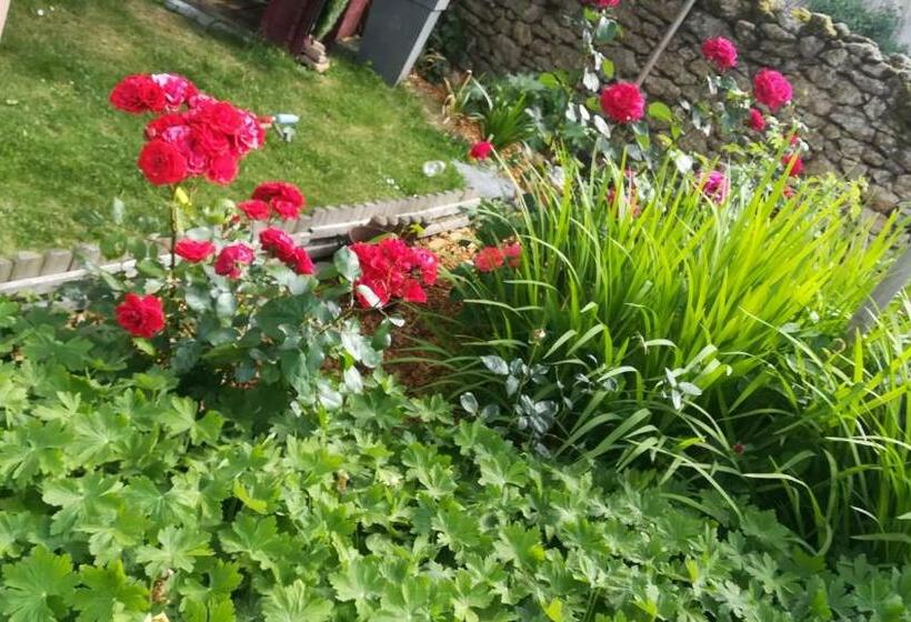 Bed and Breakfast Chambres Des Noels