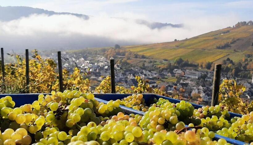 ベッドアンドブレックファースト Gästehaus Mona Lisa