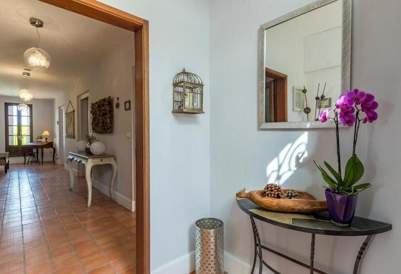 ベッドアンドブレックファースト Maison Dix Chambres D Hôtes Et Espace Spa Bien être