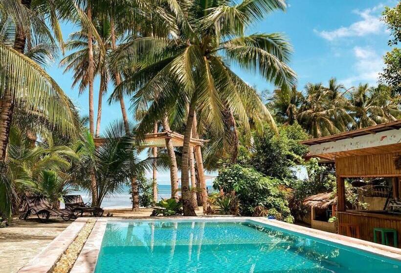 فندق Apo Diver Beach Resort