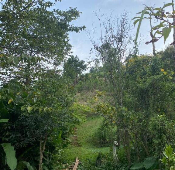 هتل Khaokhopimphupha Farmstay เขาค้อพิมภูผาฟาร์มสเตย์ ไม่มีไฟฟ้า น้ำจากน้ำตกธรรมชาติ Low Cabon With Sust