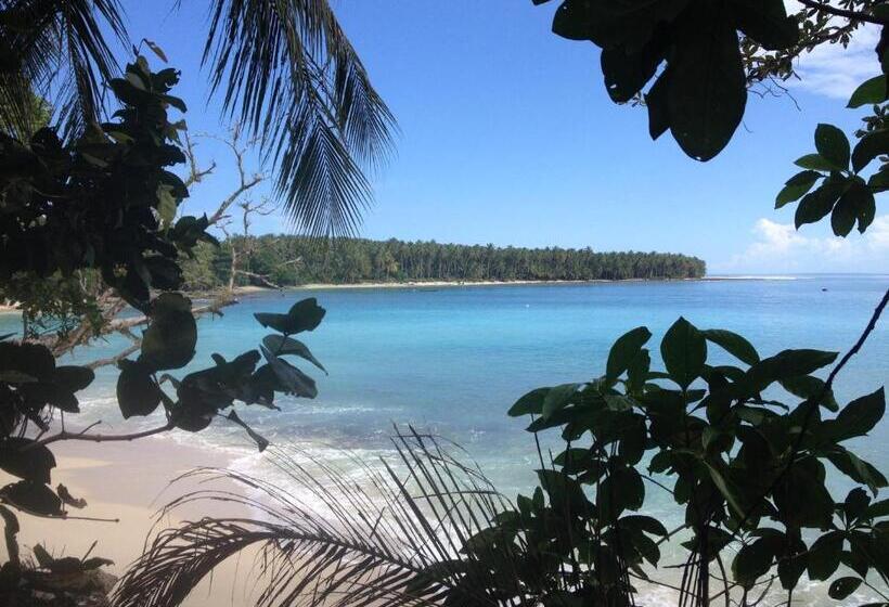 هتل Masokut Surf Camp Siberut Mentawai Surfing Barrels