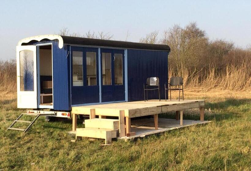 فندق Sitting At The Bay