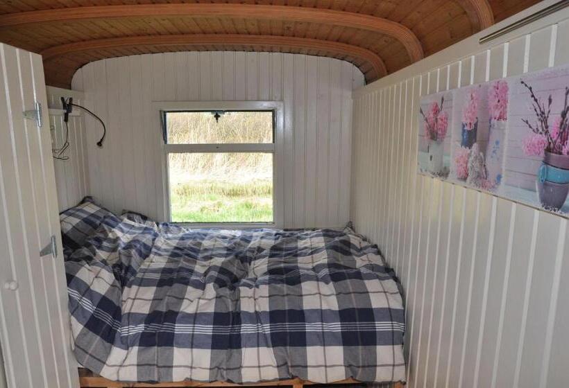 فندق Sitting At The Bay