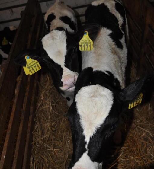 فندق Sitting At The Bay