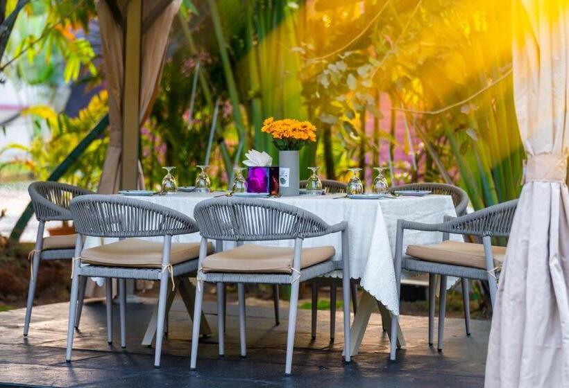 فندق Treat Beach Resort