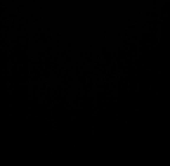 پانسیون Andy S Lodge Kelimutu