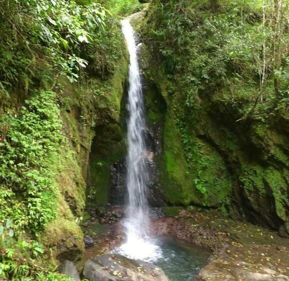 Пансион Oyo Ecocheap Lodge & Flores Tour Agency