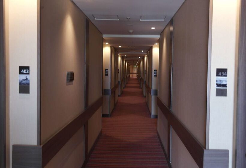 هتل Hampton By Hilton Valledupar