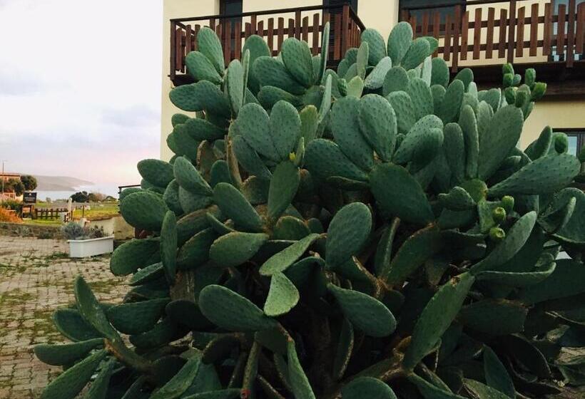 فندق Torre