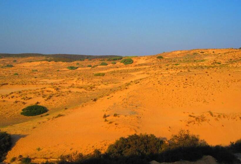 فندق Torre