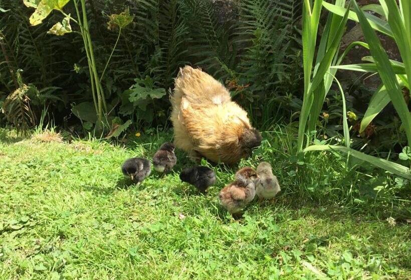 צימר Bretagne Chambre D Hôtes Suite 53m2 Et Caravane Vintage Avec Cuisine Et Salle De Bains Privées Britt