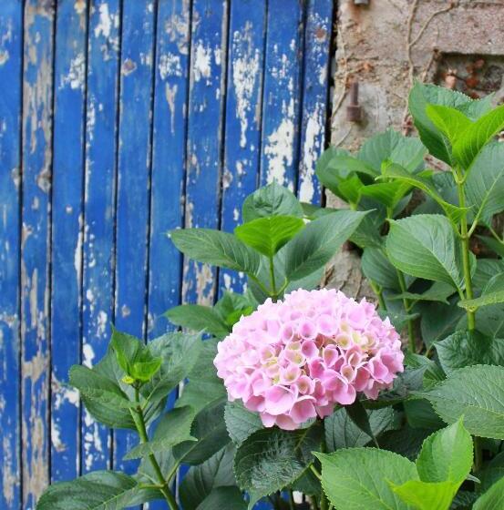 צימר Bretagne Chambre D Hôtes Suite 53m2 Et Caravane Vintage Avec Cuisine Et Salle De Bains Privées Britt