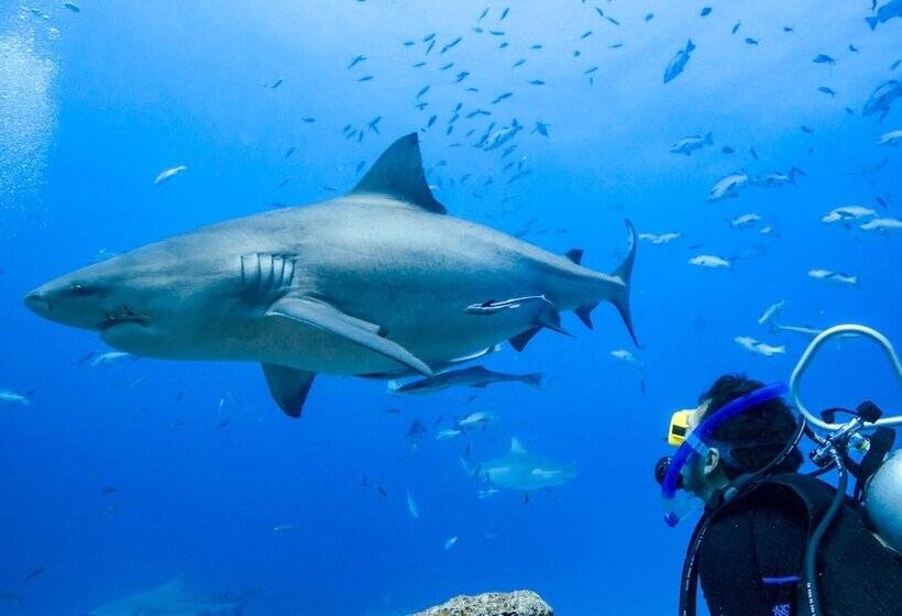 هتل Barefoot Kuata Island Resort