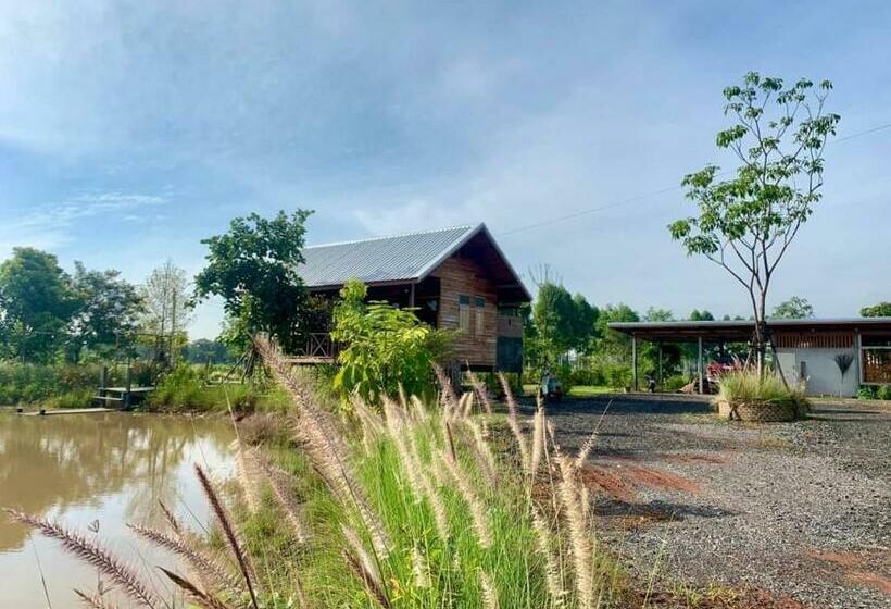 膳宿费 Rang Robin Farmstay With Swimming Pool