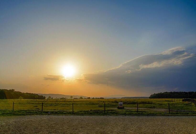 住宿加早餐 Bio Pferdehof Fabian