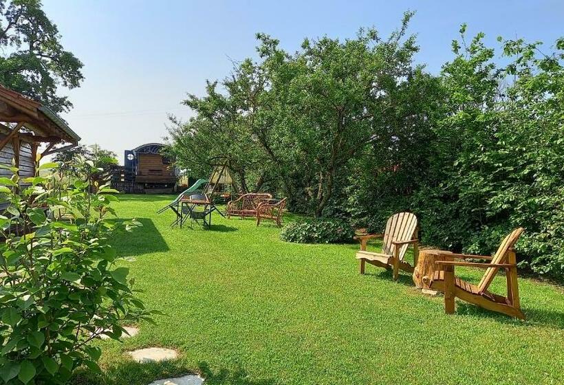 Bed and Breakfast Hagebuche