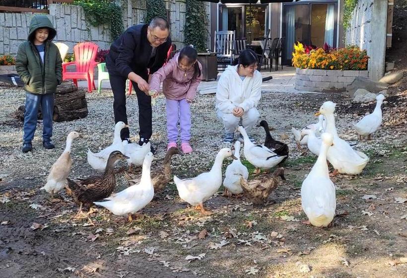 住宿加早餐  Harmony Inn, Huntley Illinois