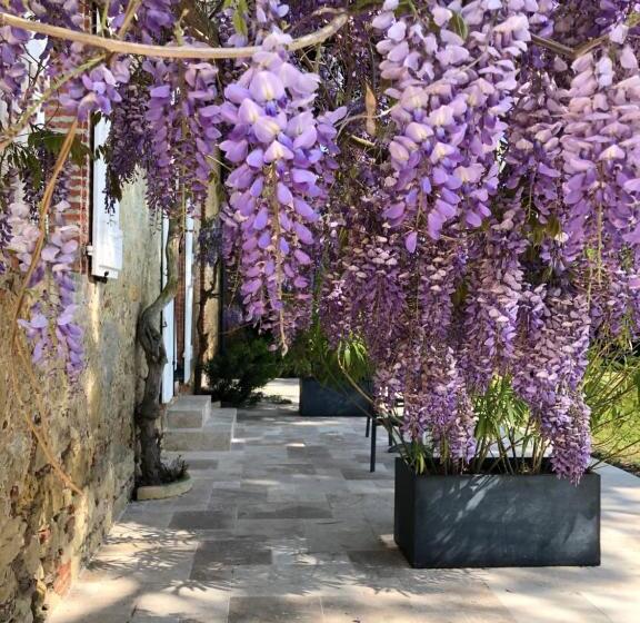 住宿加早餐  La Bastide De Negra
