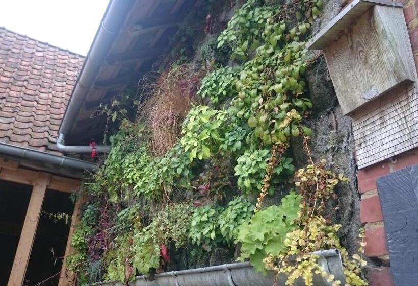 Bed and Breakfast La Cabane De Denier