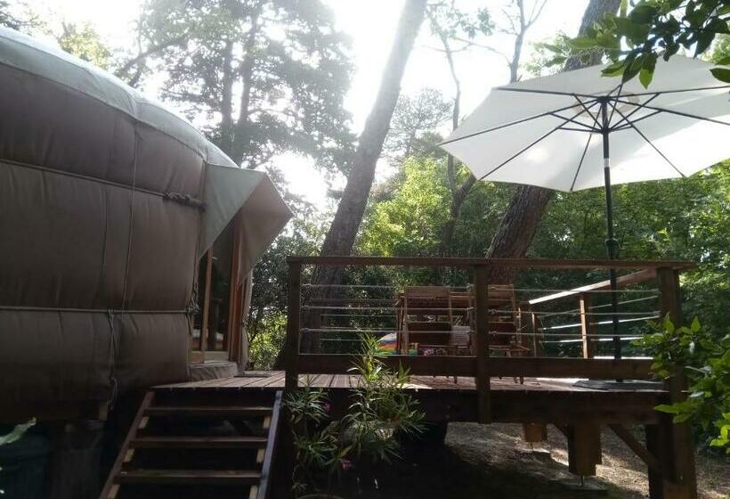 Bed and Breakfast Mareillagues