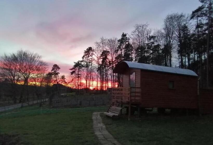 مبيت وإفطار Vosges Chambres D Hotes