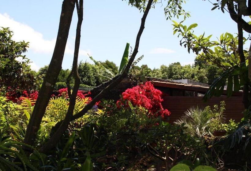 호텔 Quinta De São Caetano   São Miguel Açores