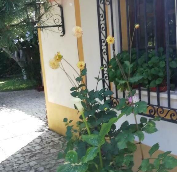 Отель Quintal D Avó