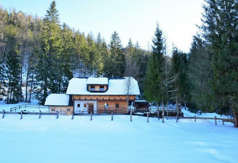 Пансион Ferienhaus Dirnbacher Hütte