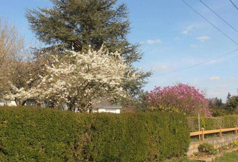 膳宿费 La Clôture