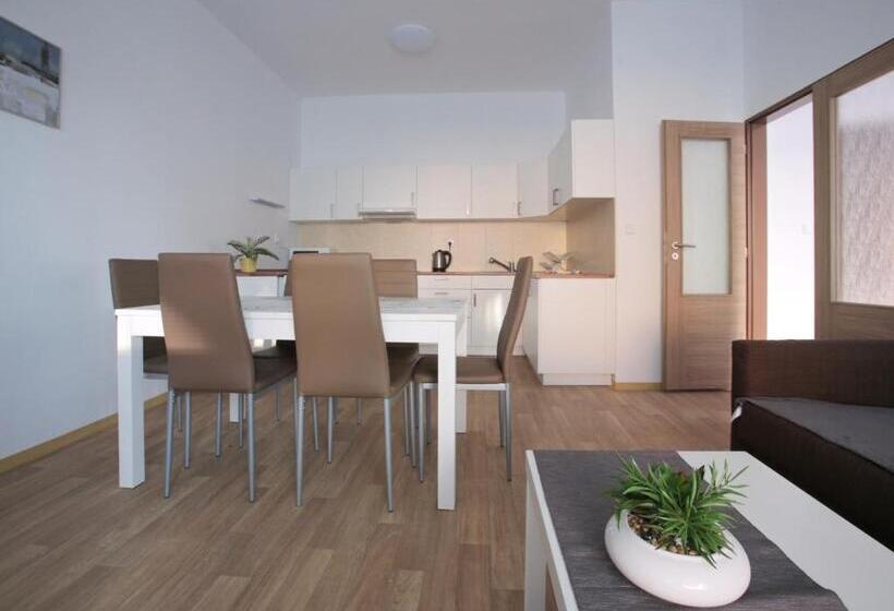 ペンション Penzion   Apartments Pod Javořicí