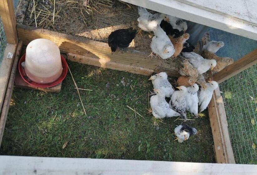 צימר Bienvenue Chez Moi à Concevreux