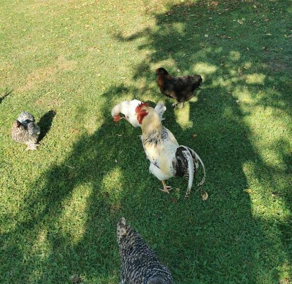 צימר Bienvenue Chez Moi à Concevreux