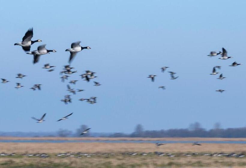 مبيت وإفطار Grytmanshoeve, Vakantiehuis Met Glamping