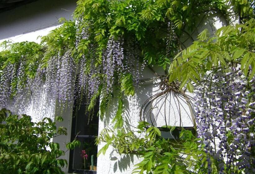 Bed and Breakfast La Colline Des Roses