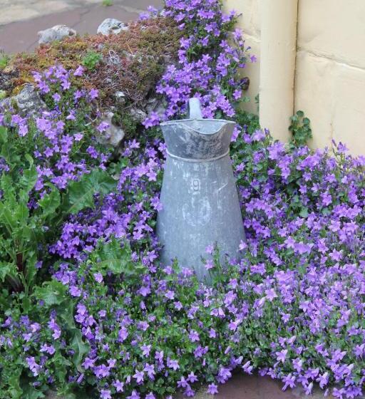 צימר Le Chemin Du Village