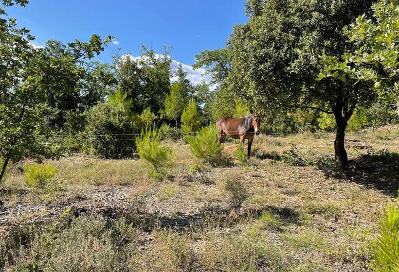 Bed and Breakfast Les Yourtes De Provence