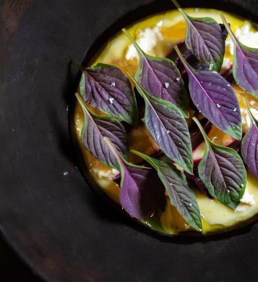 فندق Casona Los Cedros