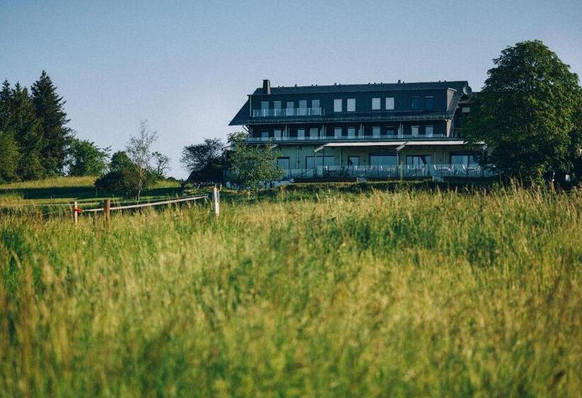 ホテル Fetz Das Loreley