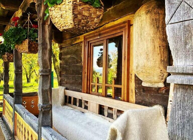 بنسيون Casa Din Susani