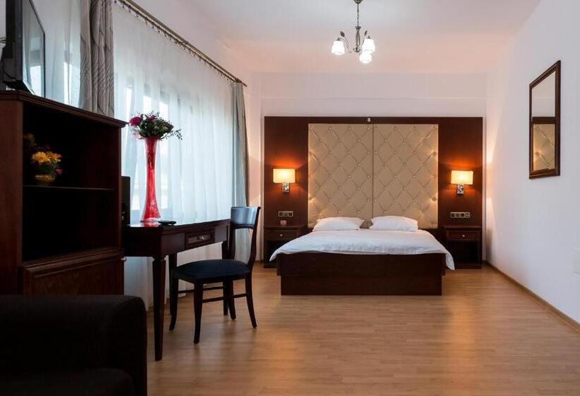 ペンション Enigma Bucovinei