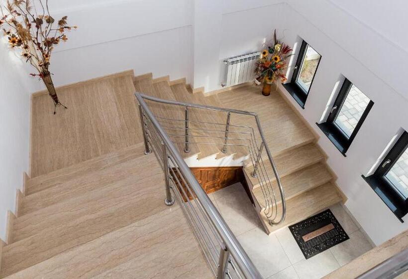 ペンション Enigma Bucovinei