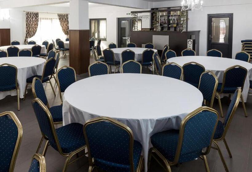 ペンション Enigma Bucovinei